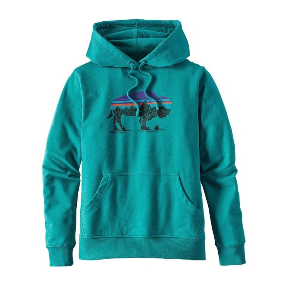 COPY - Patagonia Fitz Roy hoodie